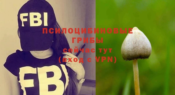 экстази Михайловск