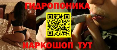 МДПВ Будённовск