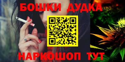 МДПВ Будённовск