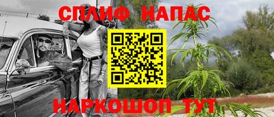 индика Волгодонск