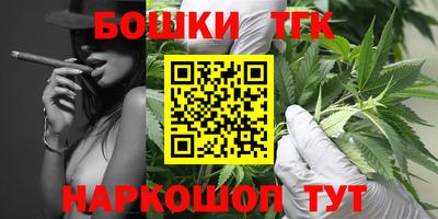 индика Волгодонск