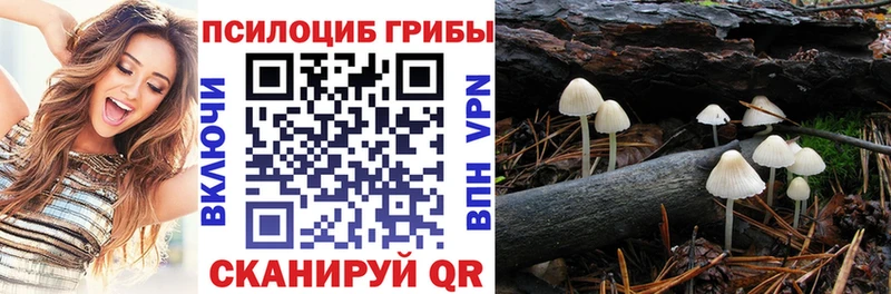 Галлюциногенные грибы Psilocybe  Еманжелинск 