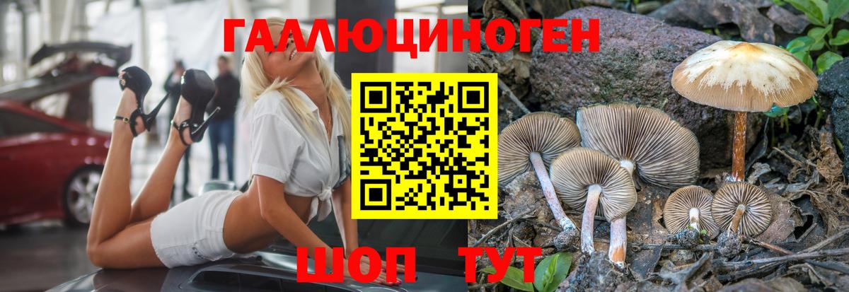 Псилоцибиновые грибы Psilocybe  Еманжелинск 