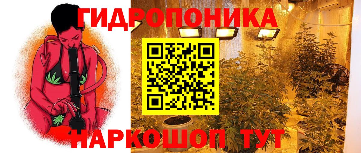 Шишки марихуана семена Еманжелинск